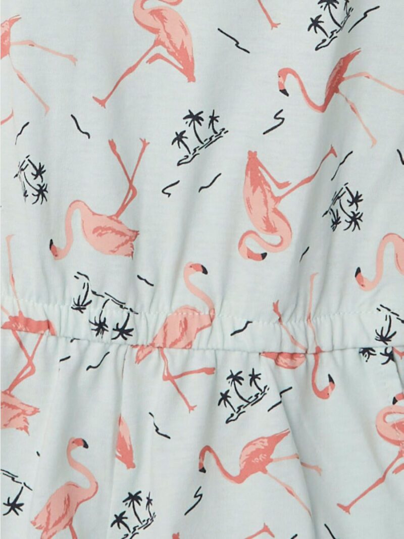 13200378_Glacier_934477_005