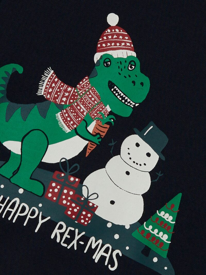 13209481_DarkSapphire_005