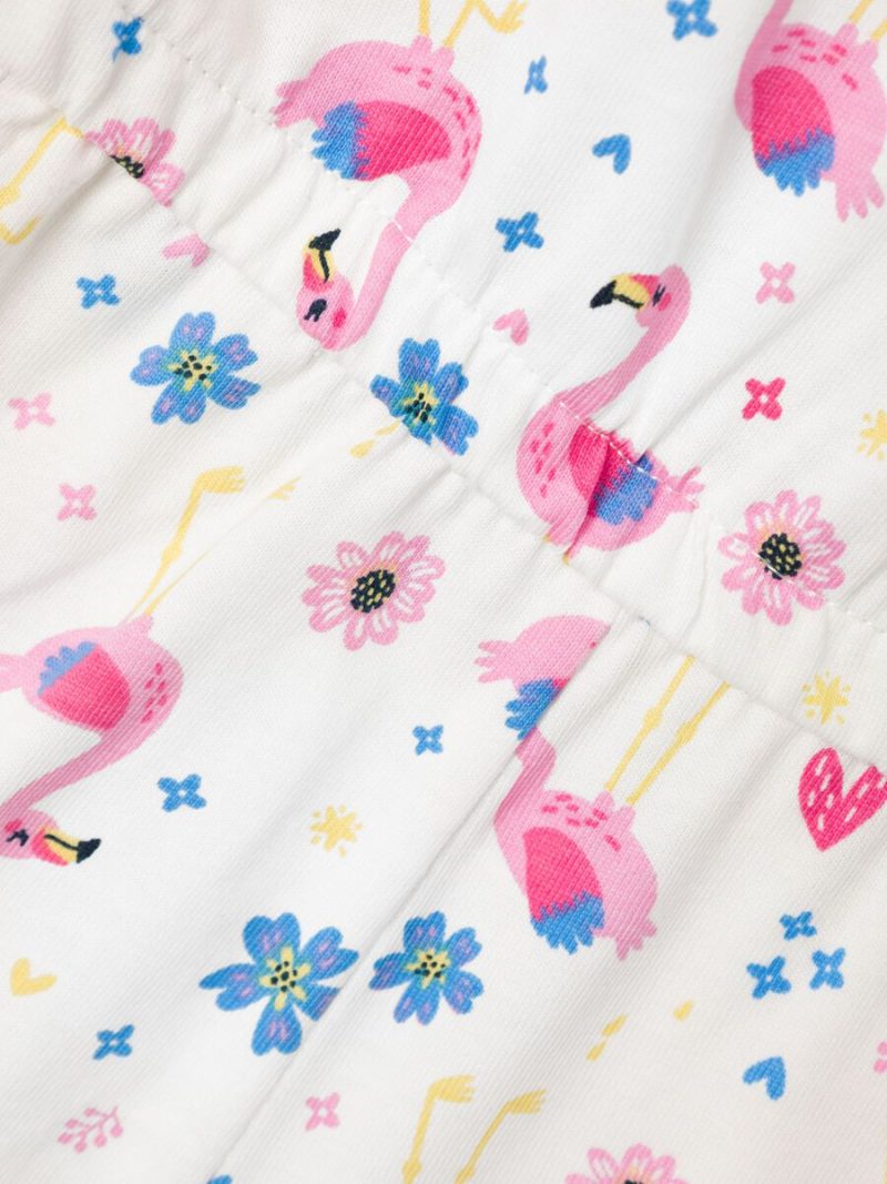 13215111_WhiteAlyssum_1029229_005