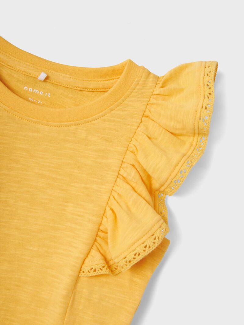 13226047_PaleMarigold_005