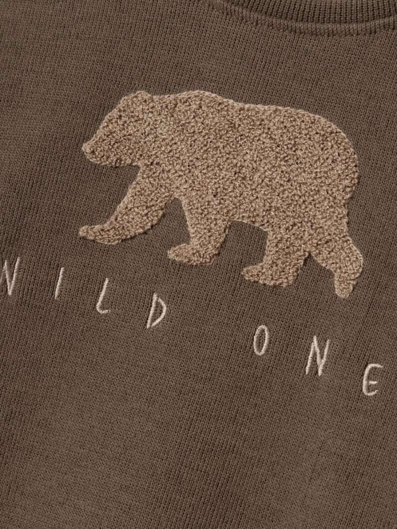 13233703_Bracken_005