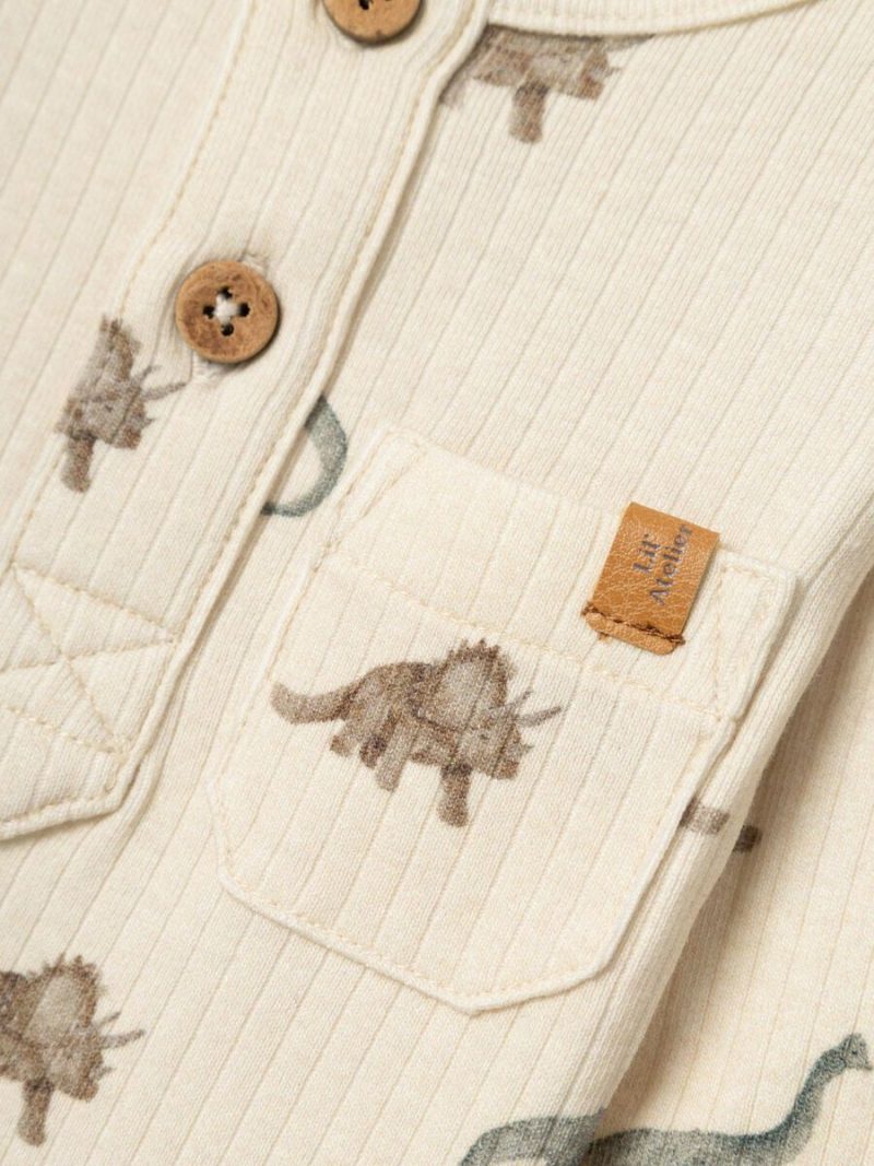 13234181_Birch_1133663_005