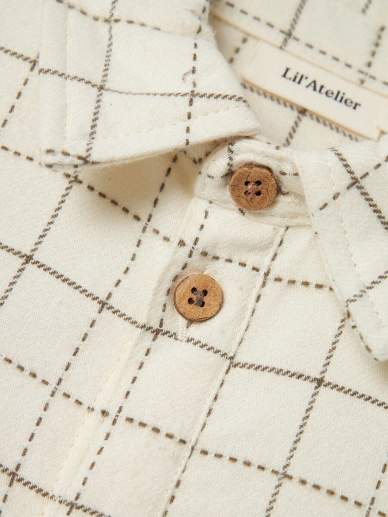 13236010_Turtledove_005