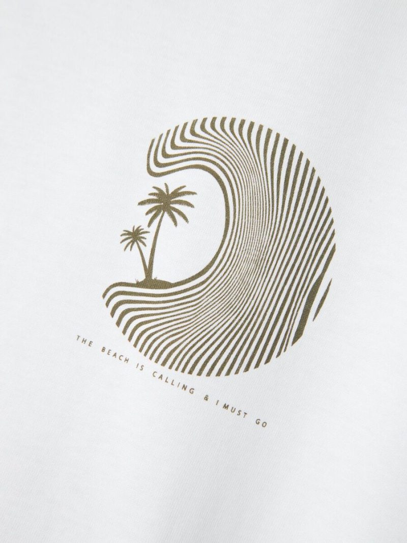 13240440_BrightWhite_005