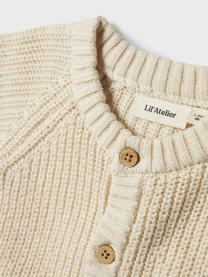 13231617_Turtledove_005