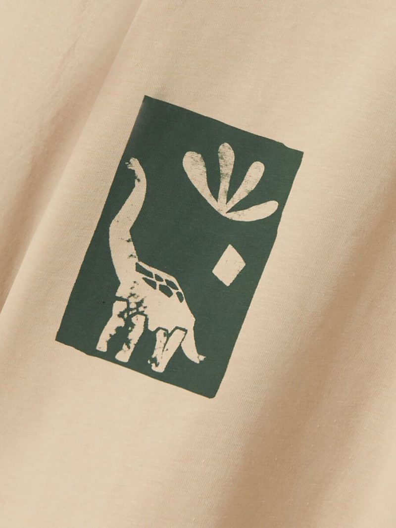 13246596_IslandFossil_005