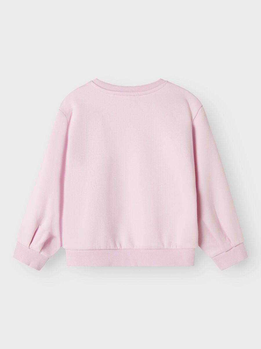 13247288_Nosegay_002