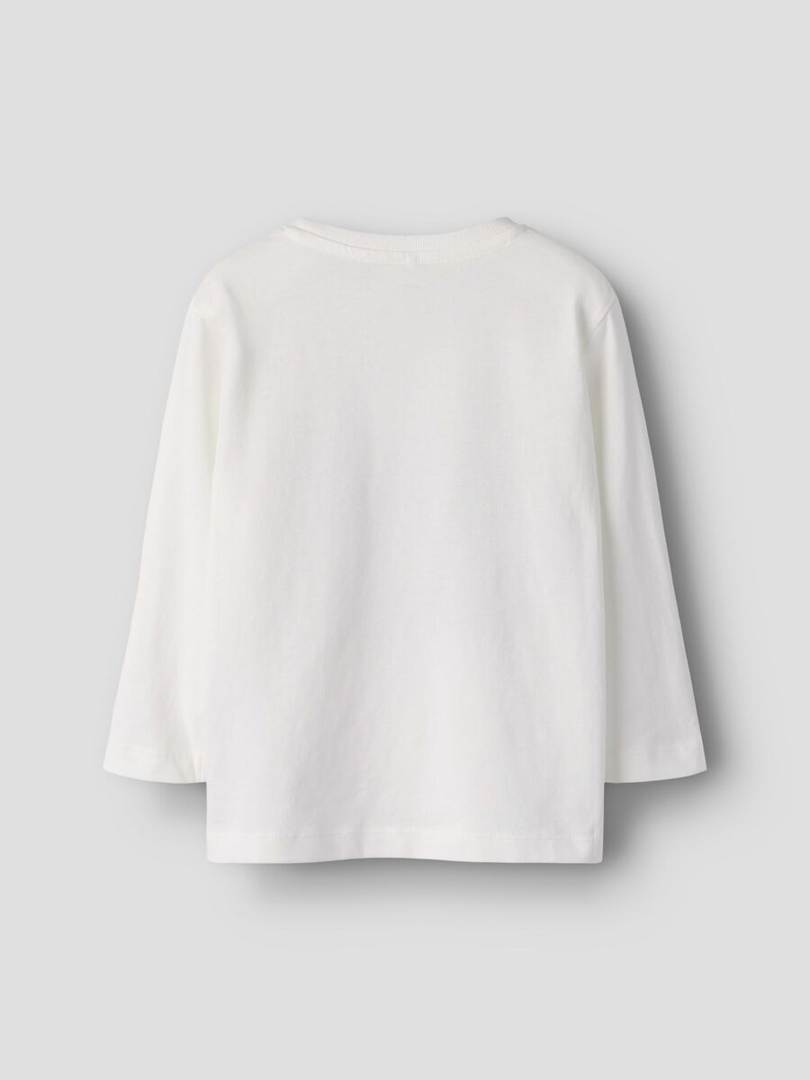 13238400_CloudDancer_1256867_002