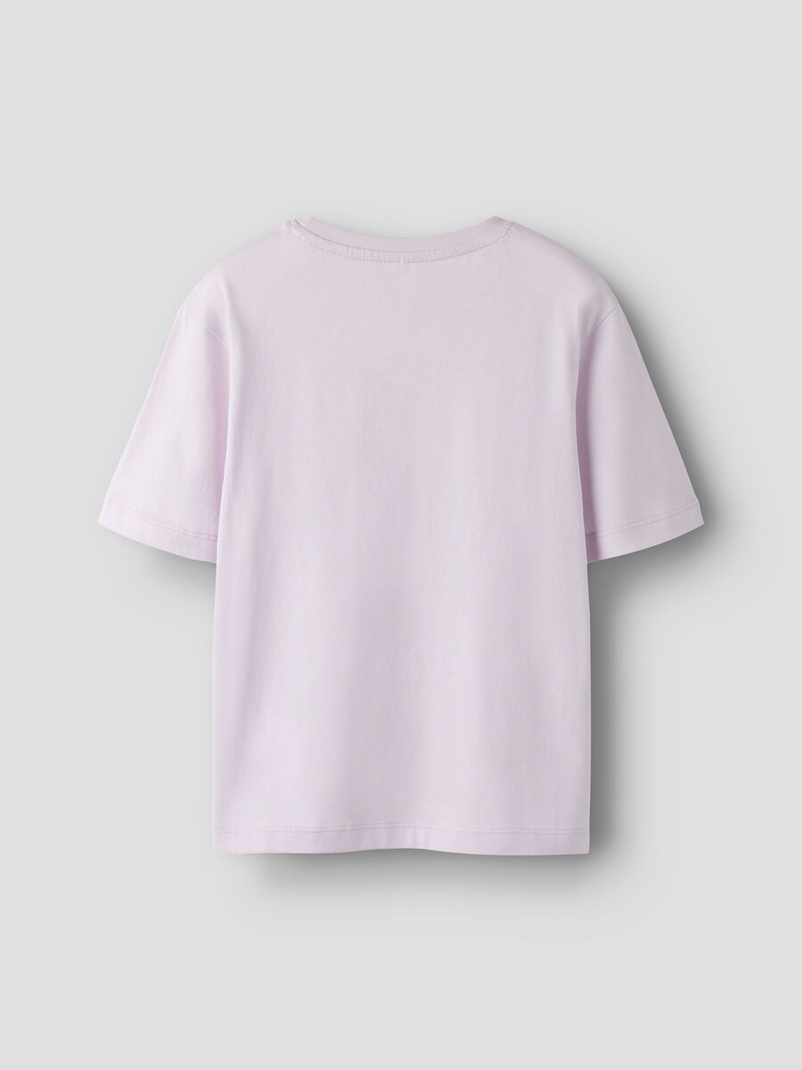 13239156_LavenderFog_1268419_002