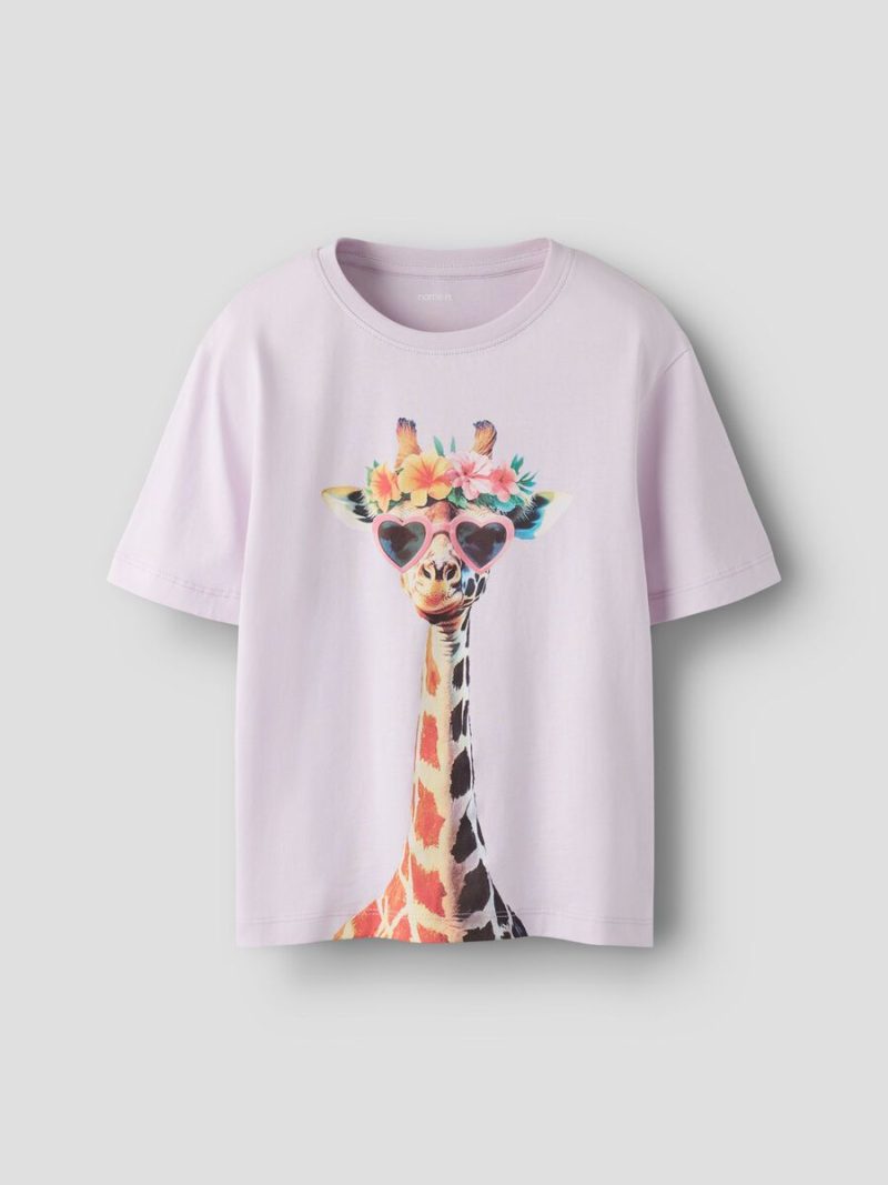 13239156_LavenderFog_1268419_003