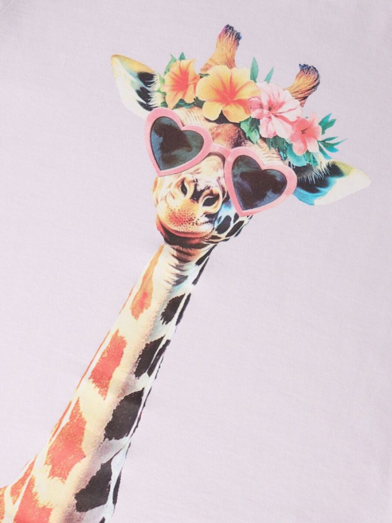 13239156_LavenderFog_1268419_005