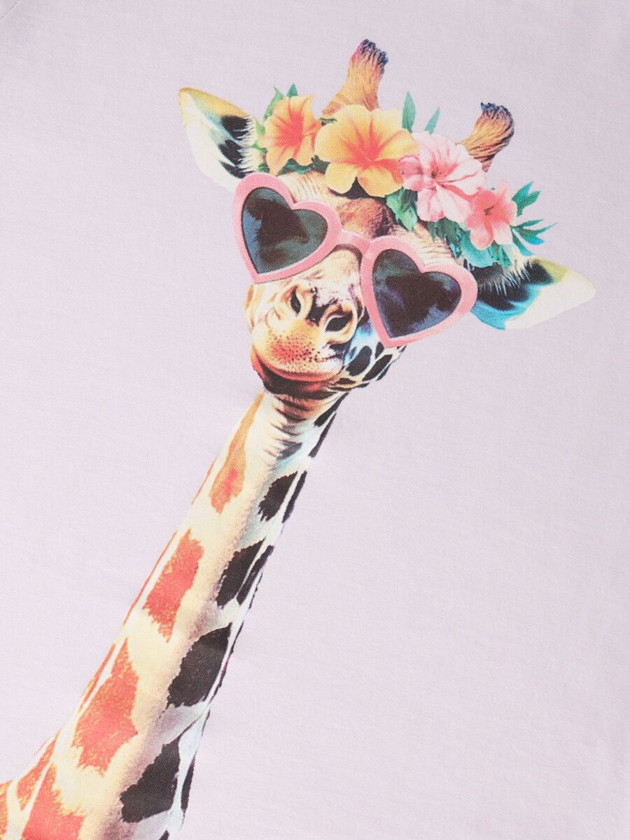 13239156_LavenderFog_1268419_005