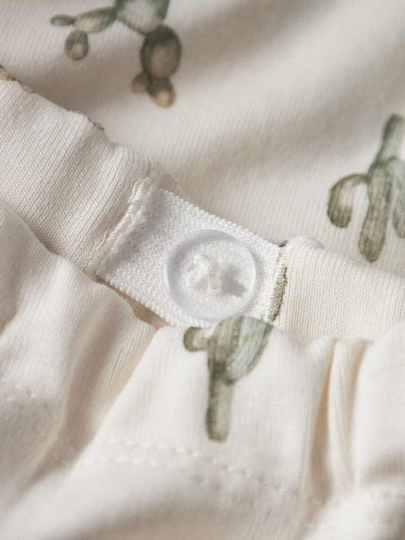 13251192_CoconutMilk_1239528_005