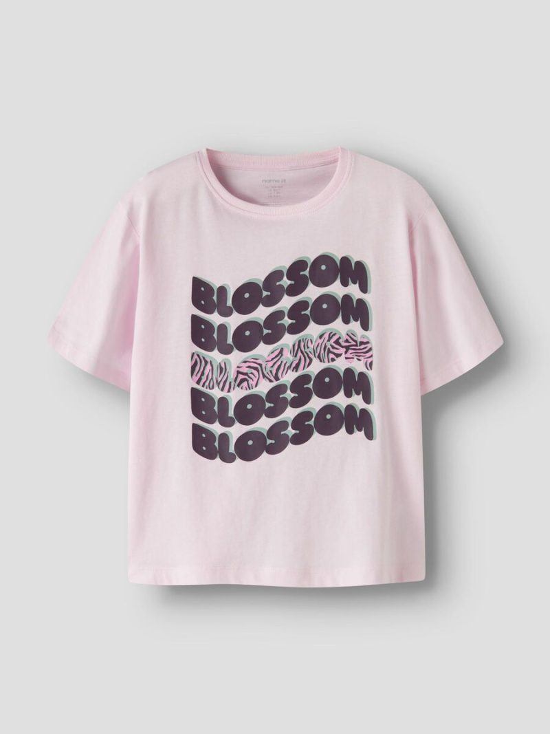 13251213_TenderTouch_003