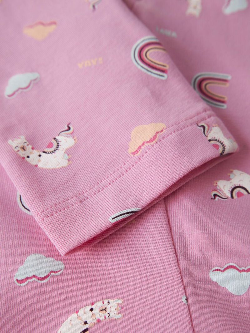 13251484_BegoniaPink_005