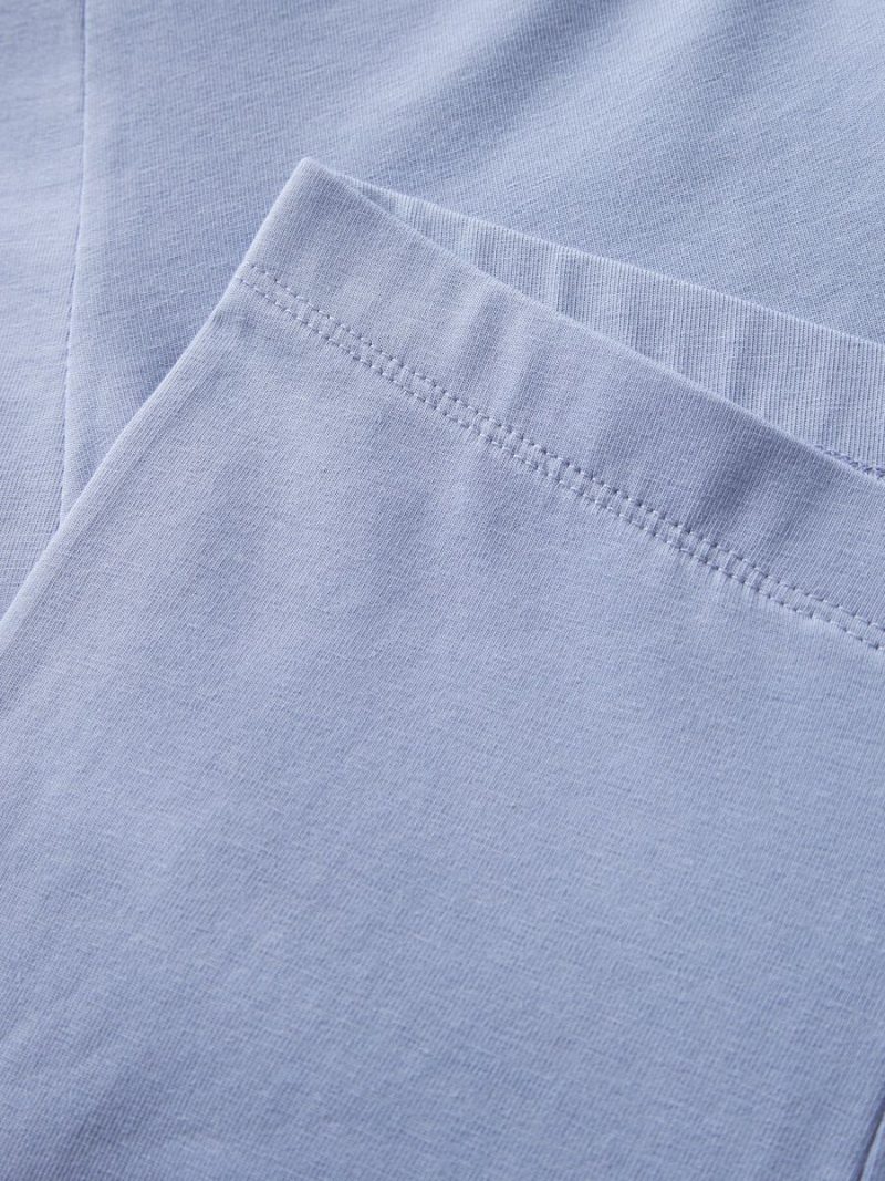 13228199_PurpleImpression_005