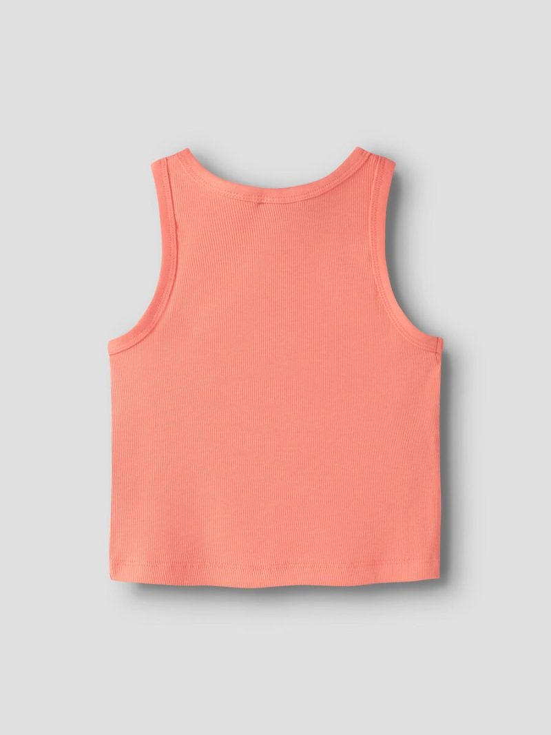 13236672_FusionCoral_002