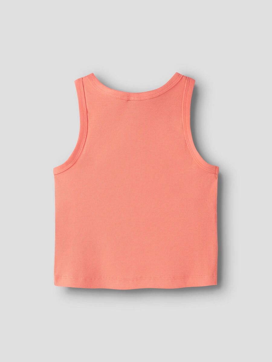 13236672_FusionCoral_002