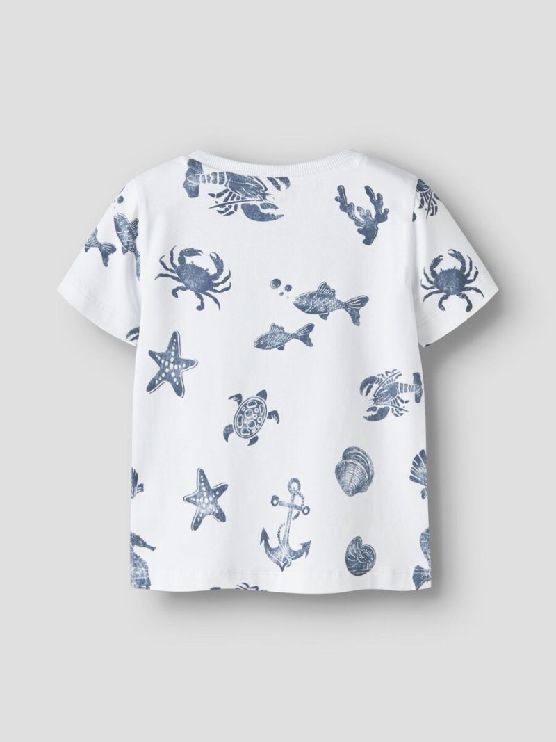 13241249_BrightWhite_002