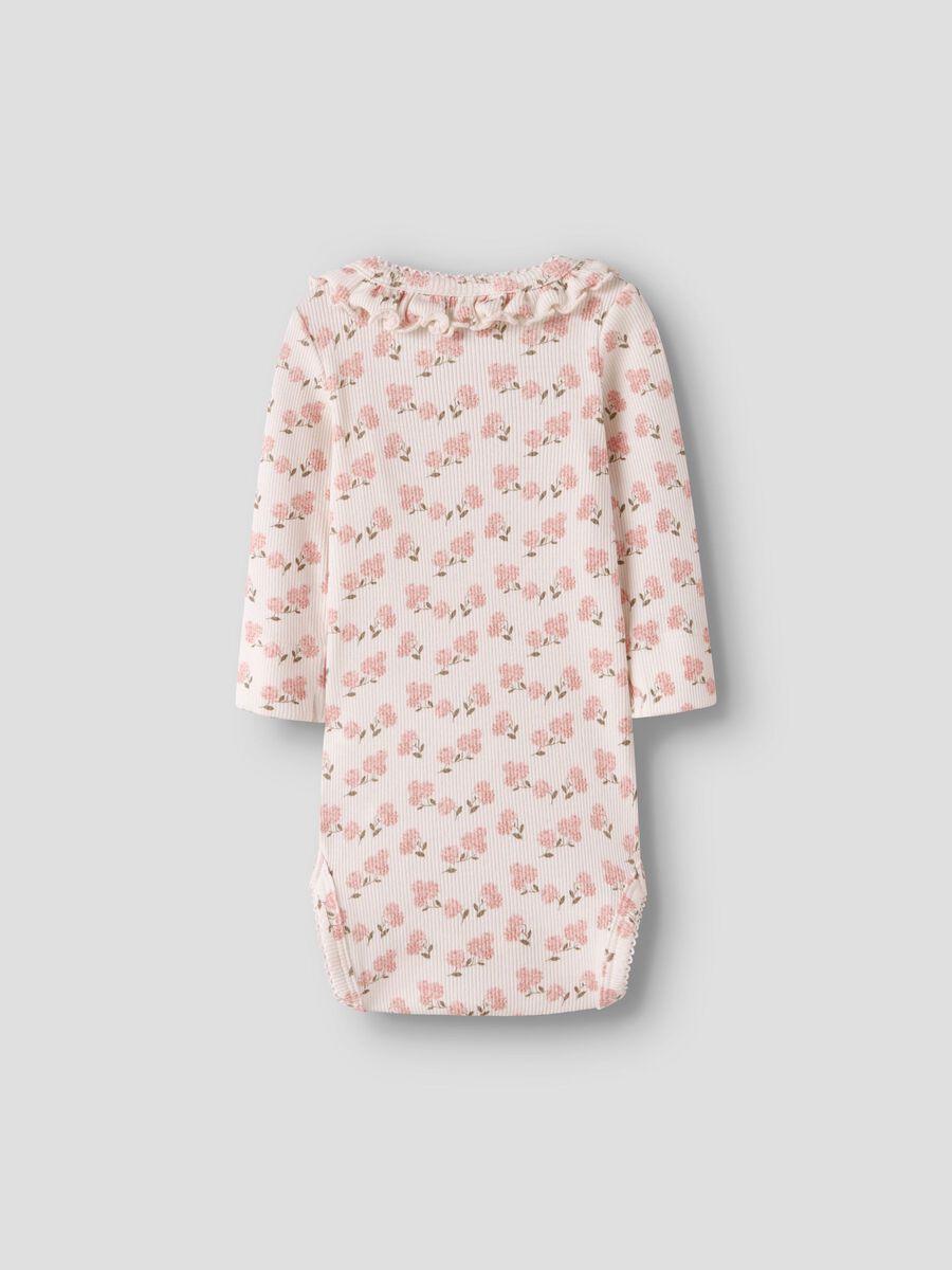 13247385_CoconutMilk_1252606_002