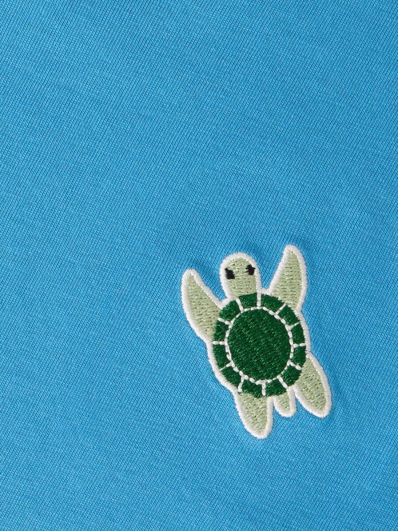 13251009_Cyaneus_005