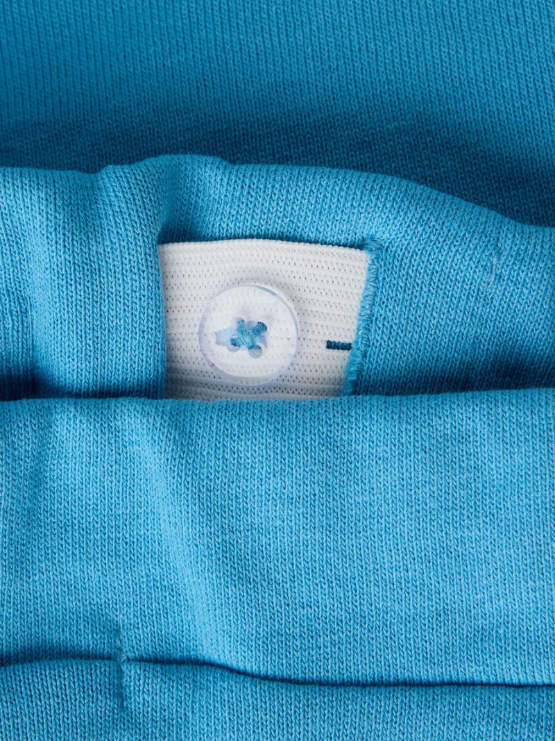 13251015_Cyaneus_005