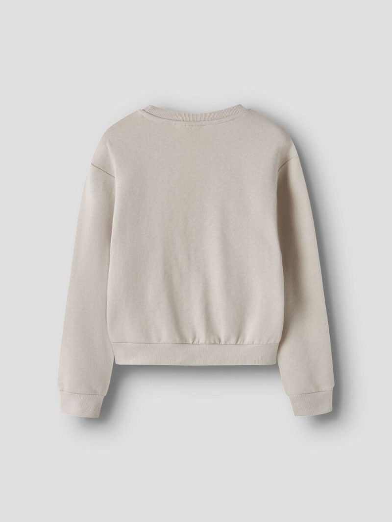 13251669_PumiceStone_002