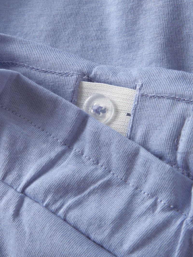 13253372_PurpleImpression_005