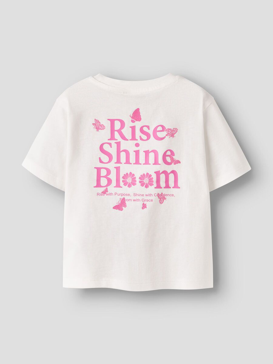 13254630_CloudDancer_002