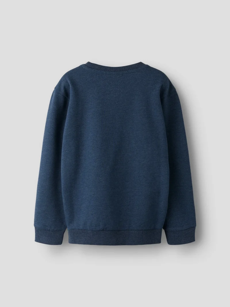 F_13254874_M_5003775_Back-p