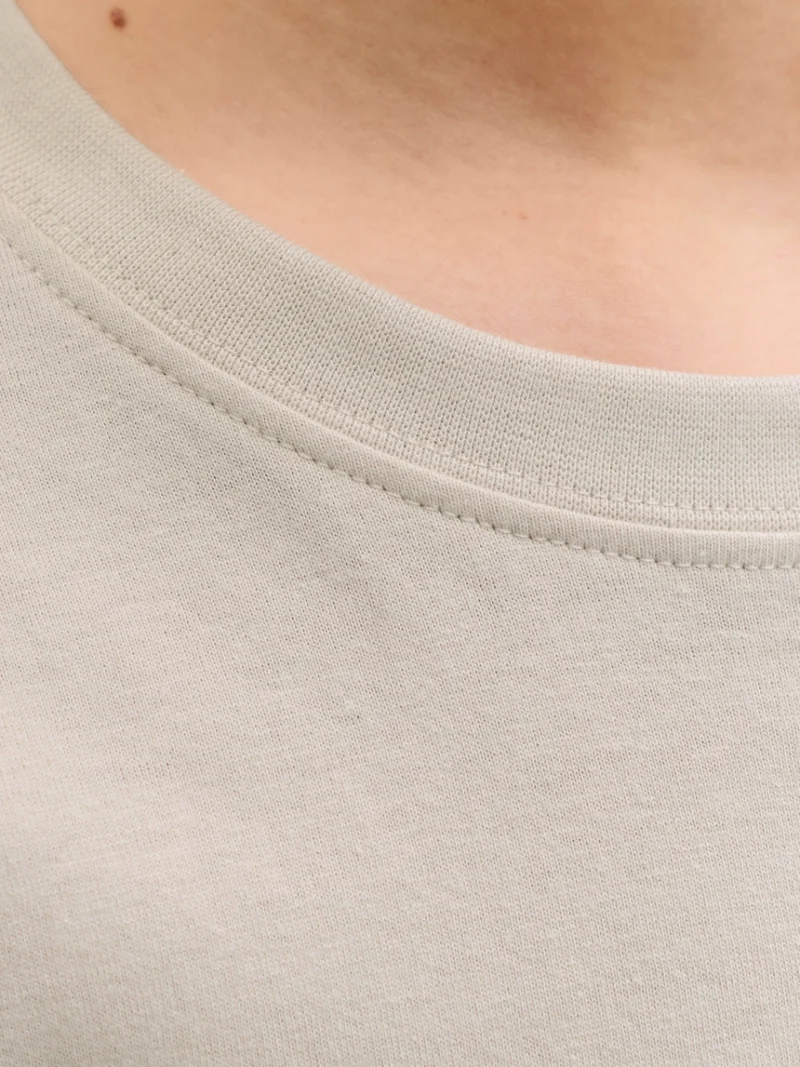 jackjones-jjearchivegraphicteessonecknoosjnr-beige (1)